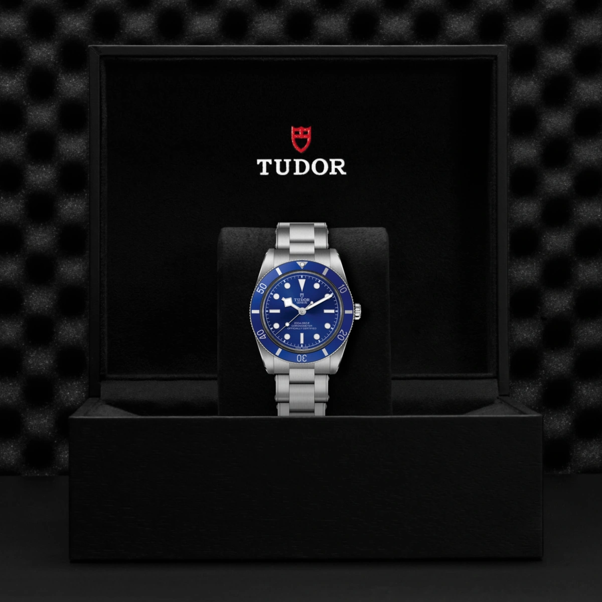 TUDOR Black Bay 54