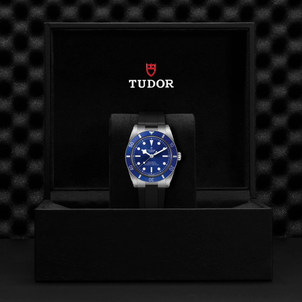TUDOR Black Bay 54