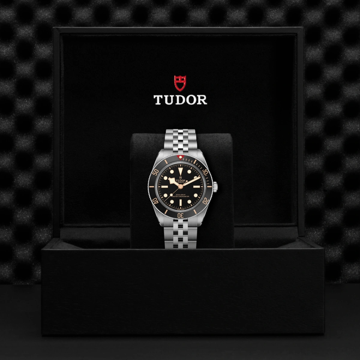 TUDOR Black Bay 58