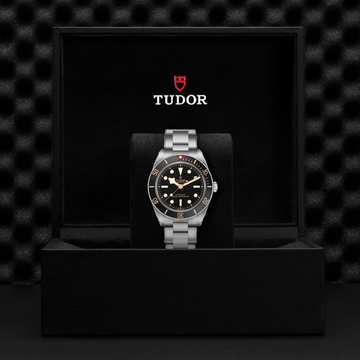 TUDOR Black Bay 58