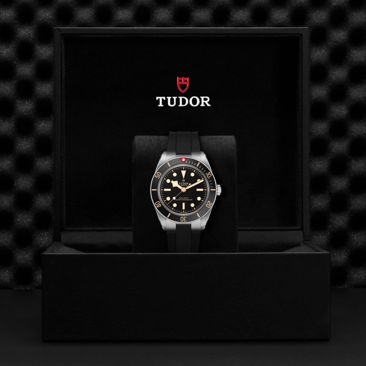 TUDOR Black Bay 58